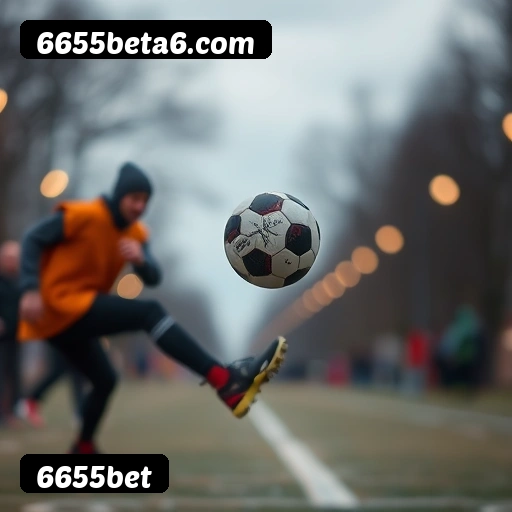 Níveis do programa VIP da 6655bet